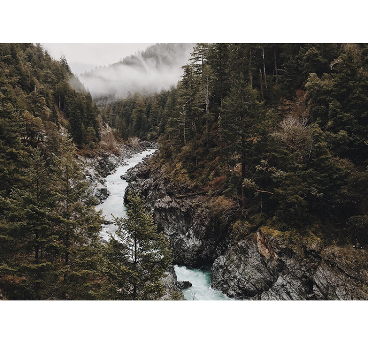 自然照片墙展现壮丽河流风景 - TenStickers