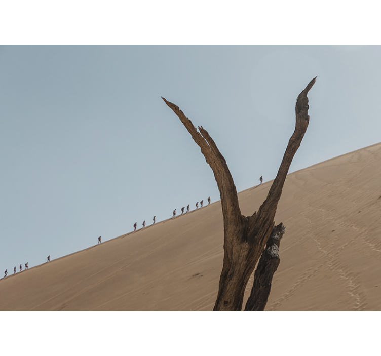 沙漠照片墙与沙丘徒步者剪影相映成趣 - TenStickers