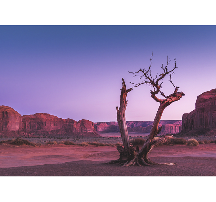 其他景观壁画沙漠石头结构 - TenStickers