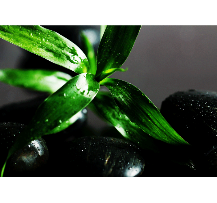 自然照片墙呈现新鲜叶子纹理 - TenStickers