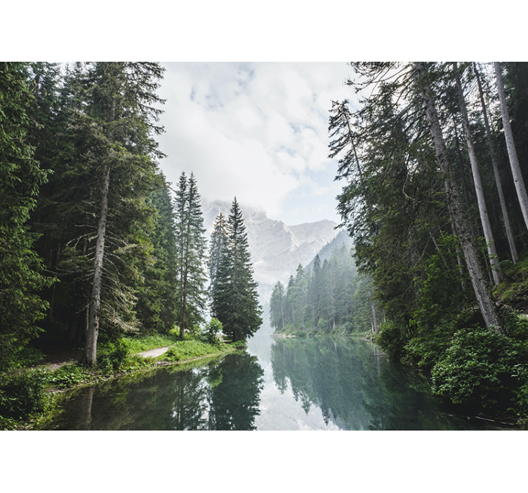 其他景观壁画宁静森林回响 - TenStickers