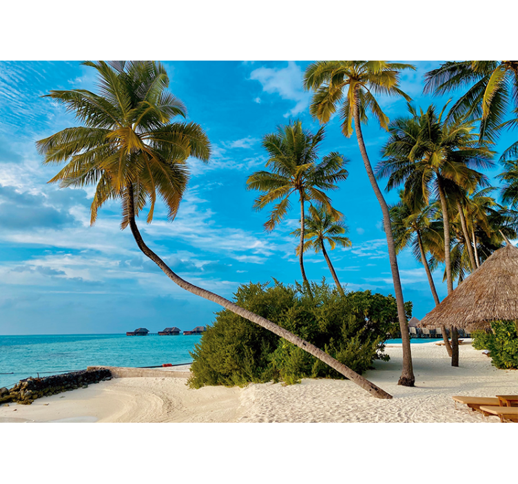 自然照片墙热带棕榈风景 - TenStickers