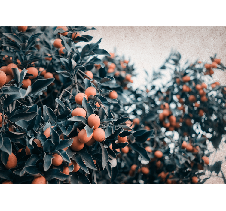 花卉照片墙柑橘果实枝条 - TenStickers