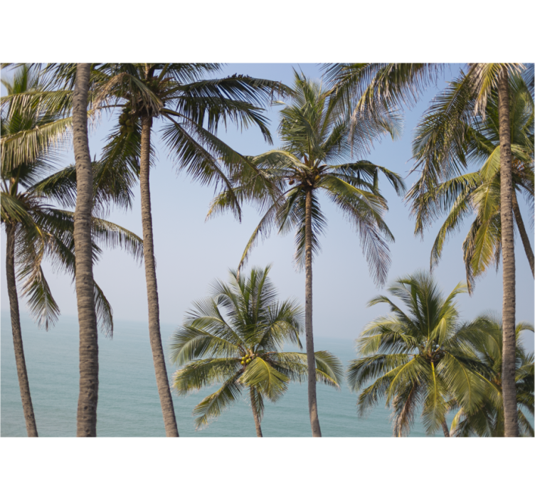 自然照片墙热带棕榈树风景 - TenStickers