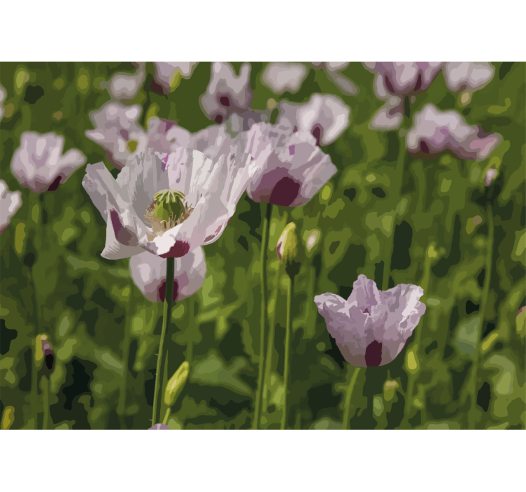 罂粟花风格的墙面壁画展现花卉优雅 - TenStickers