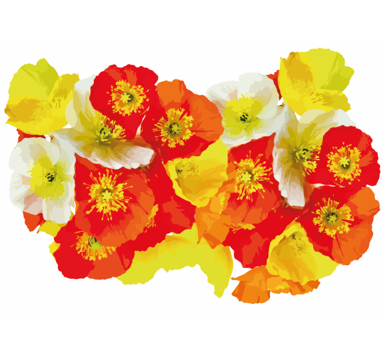 花卉照片墙罂粟花组合 - TenStickers