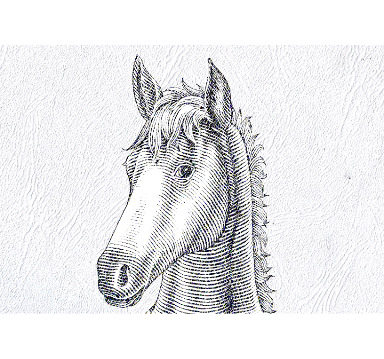 动物风格的墙面壁画优雅马匹肖像 - TenStickers