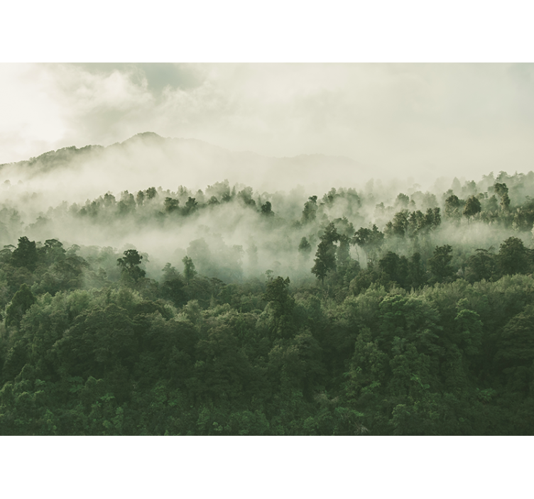 自然照片墙雾霭森林风景 - TenStickers
