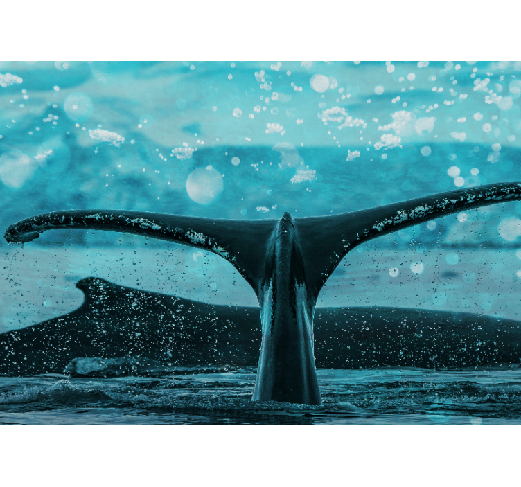 非洲壁画中令人惊叹的水下鲸鱼 - TenStickers