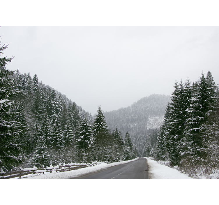 山地照片墙展现冰雪山景 - TenStickers