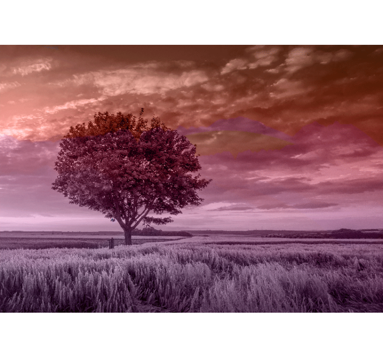 森林照片墙孤独树木剪影 - TenStickers