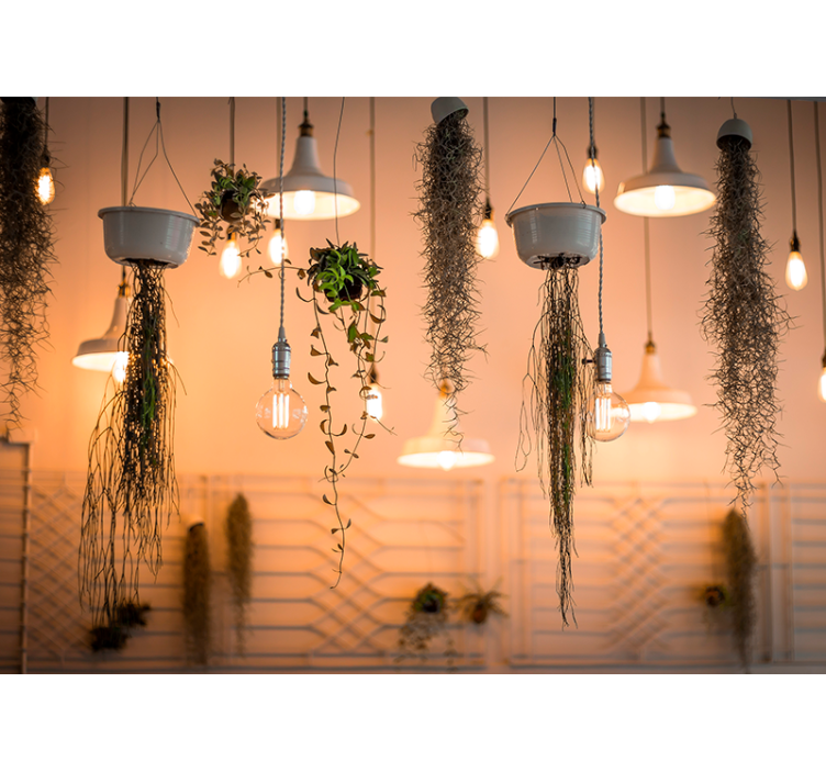 自然照片墙与悬挂绿植装饰相结合 - TenStickers