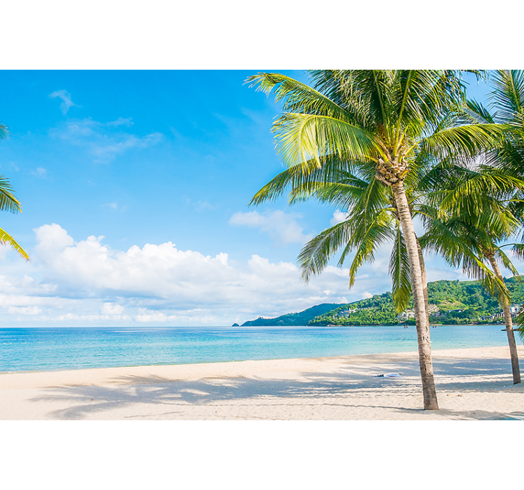 自然照片墙热带海岸避风港 - TenStickers