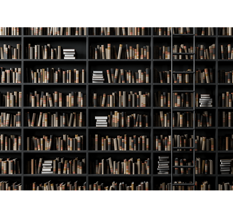 其他石头壁画图书馆书籍组合 - TenStickers