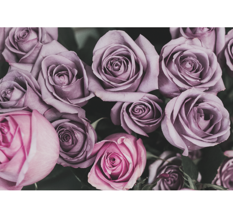 花卉照片墙薰衣草玫瑰花束 - TenStickers