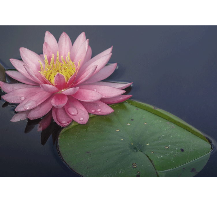 优雅的粉红色努法尔花卉壁画 - TenStickers