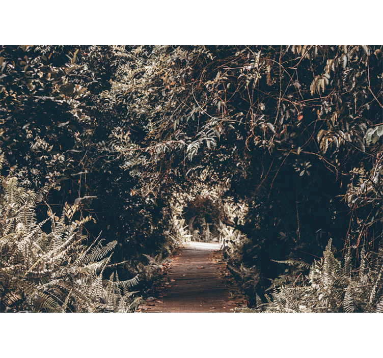 自然照片墙森林小径路径 - TenStickers