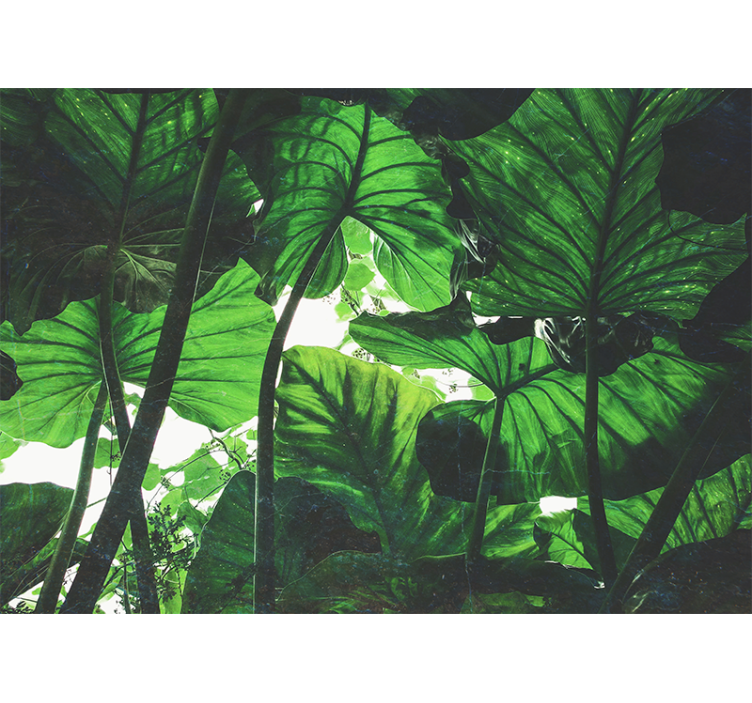 美丽的绿色雨林森林壁画 - TenStickers