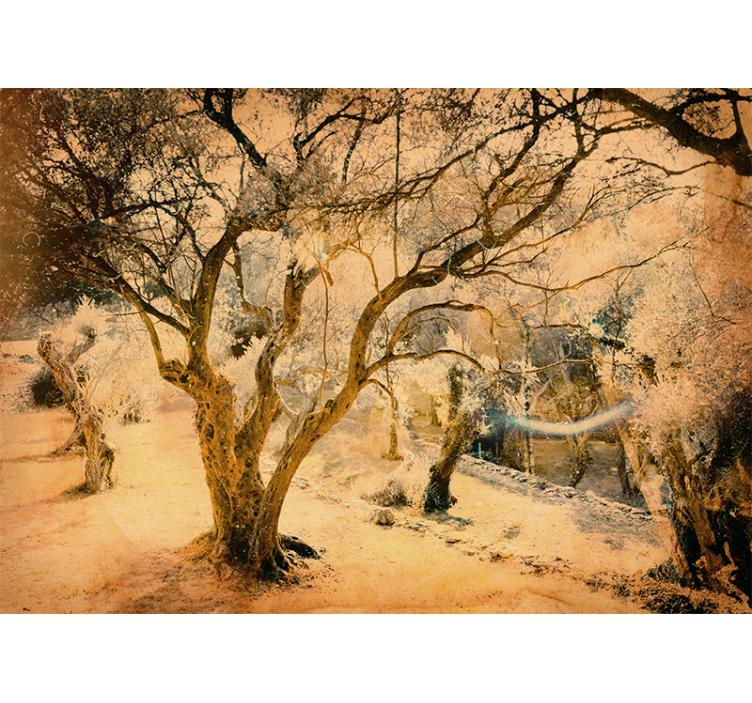 森林照片墙金色橄榄树 - TenStickers