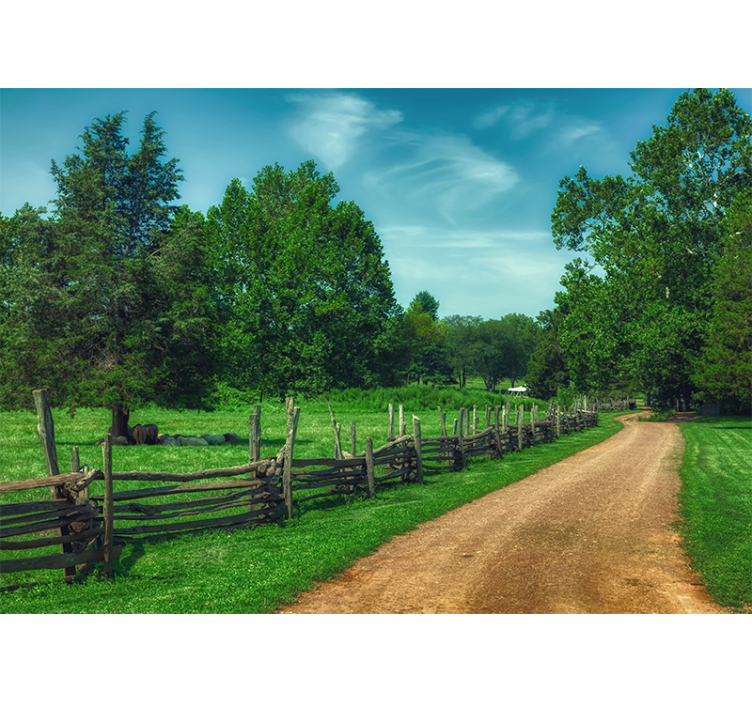 其他景观壁画生机盎然的绿色小径 - TenStickers