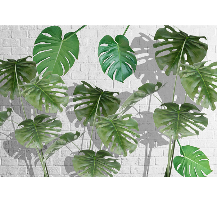 自然照片墙与瑞士奶酪植物叶子布置 - TenStickers