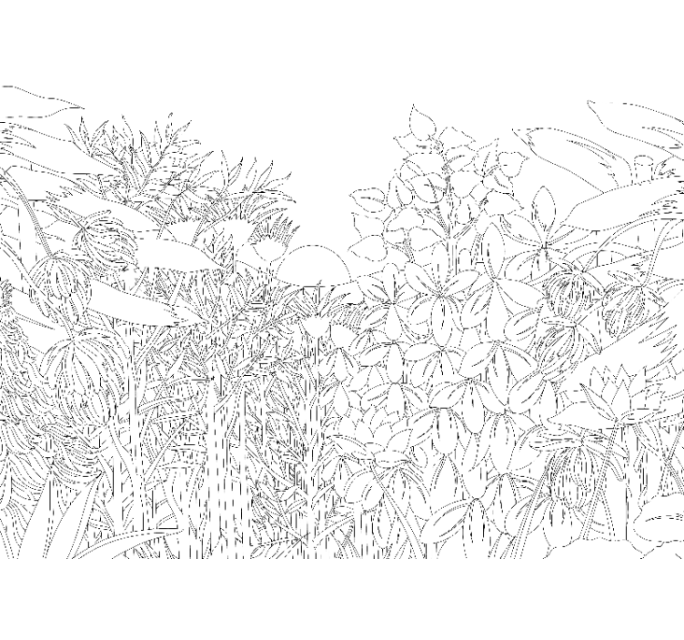 花卉照片墙展现自然花卉图案 - TenStickers