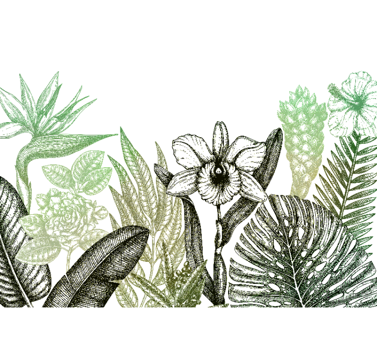 花卉照片墙展现植物花卉设计 - TenStickers