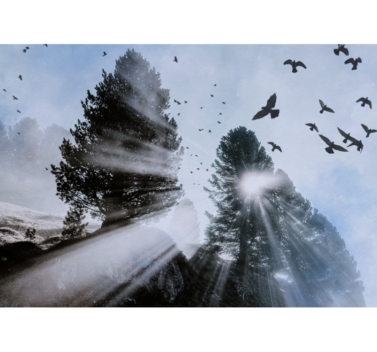 森林照片墙映射鸟儿飞舞的光辉森林光线 - TenStickers