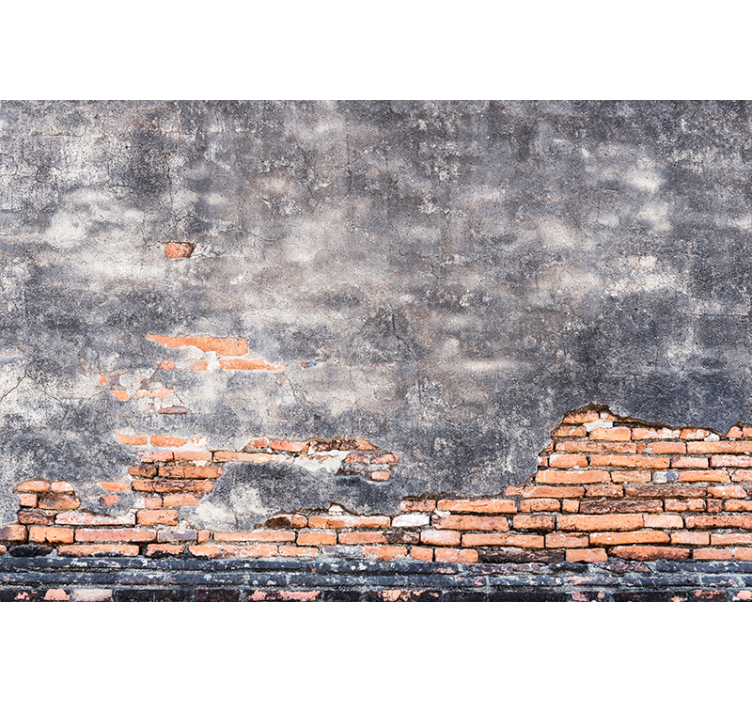 砖块照片墙 格鲁吉墙 - TenStickers