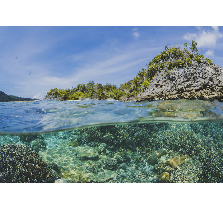 其他景观壁画 水下海景 - TenStickers