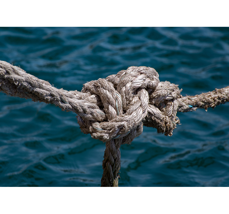 海洋的照片壁画 航海结强度 - TenStickers