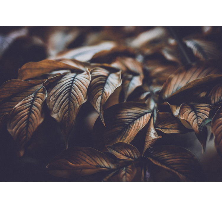 其他花卉壁画 秋叶特写 - TenStickers