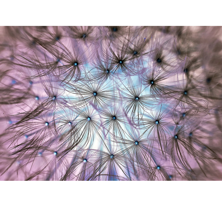 幻想的照片墙 蒲公英妄想 - TenStickers