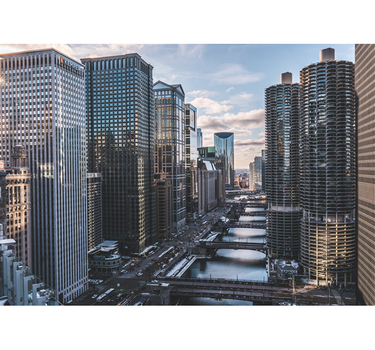 城市和乡村照片墙展现芝加哥天际线景观 - TenStickers