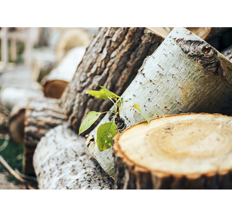 森林照片墙木材堆叠排列 - TenStickers