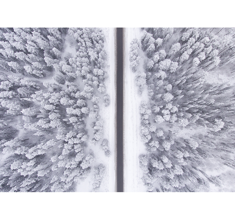 其他景观壁画冬季森林小径 - TenStickers