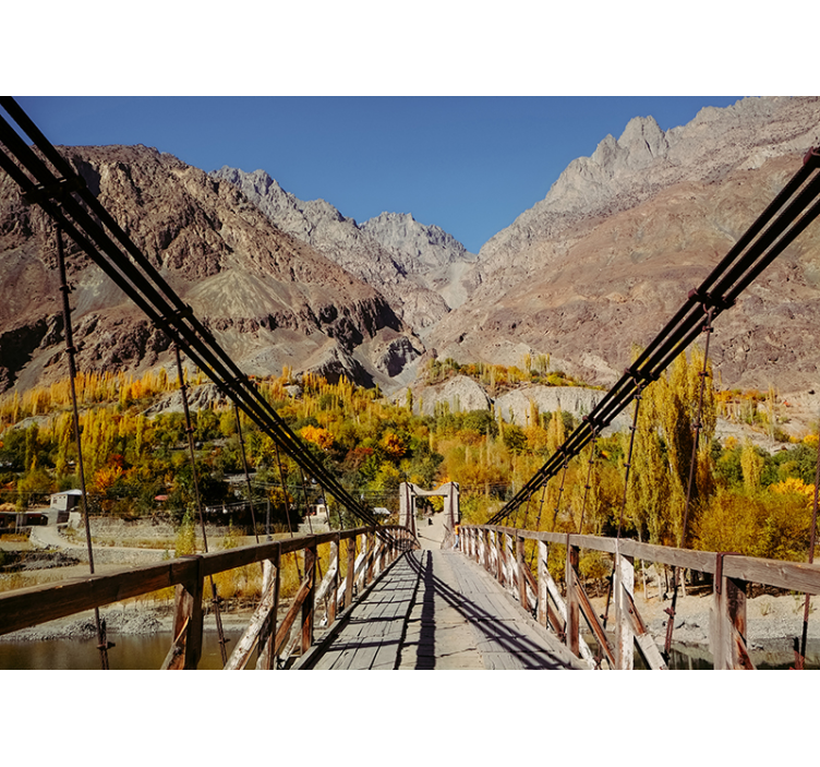 自然照片墙 充满活力的绿叶组合 - TenStickers