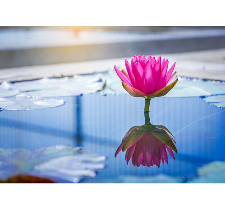 禅宗壁画莲花宁静 - TenStickers