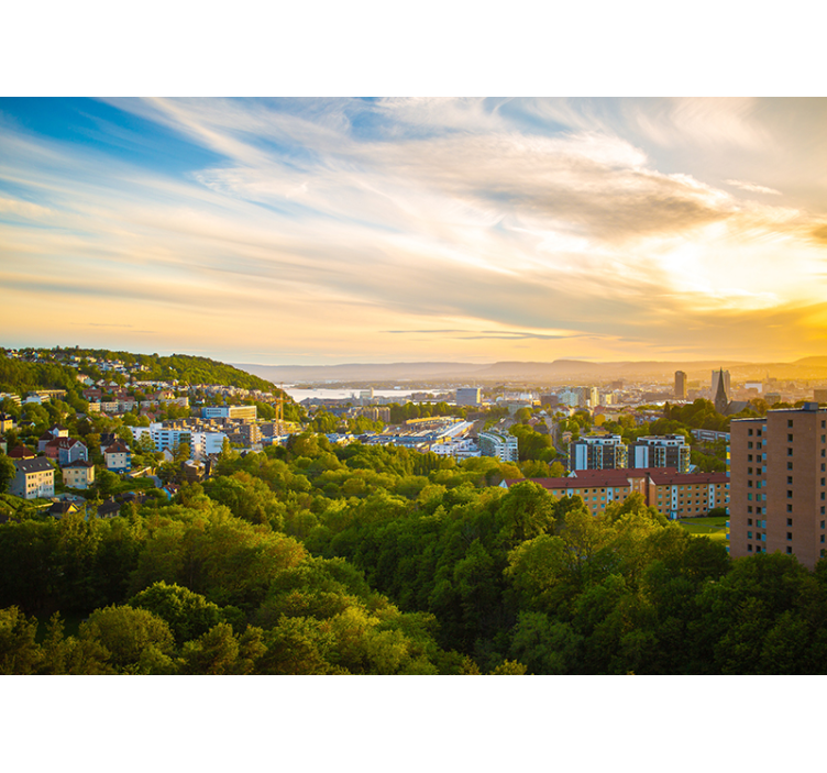 城市和乡村照片墙 城市景观 - TenStickers