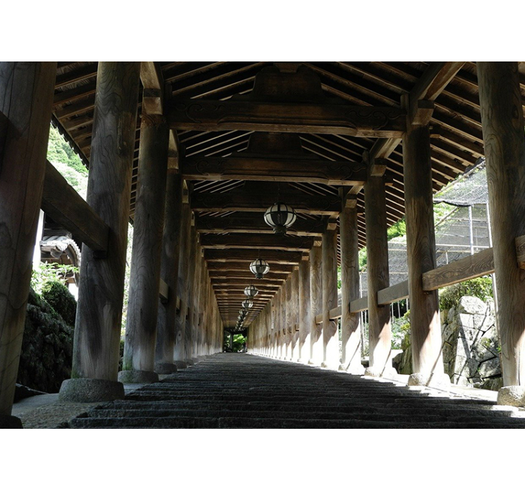 森林照片墙带您领略木栈道风景 - TenStickers