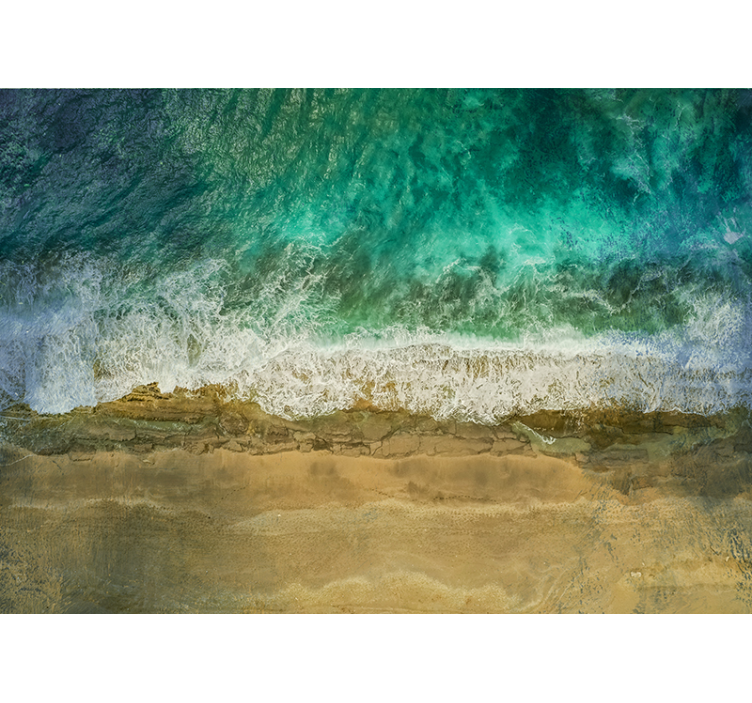 自然照片墙与海岸植物展示 - TenStickers