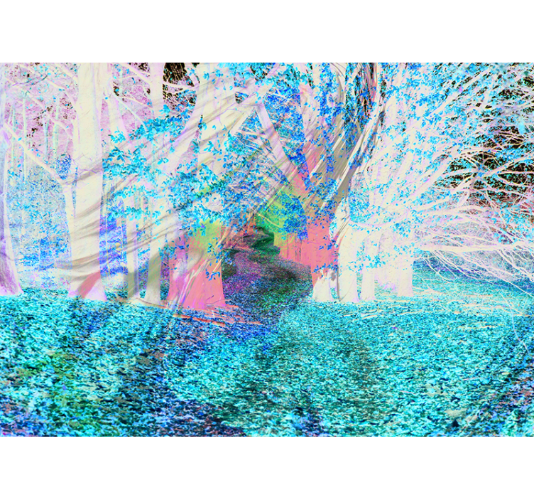 森林照片墙秋日小径 - TenStickers