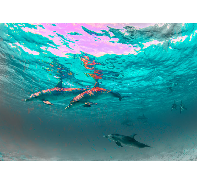 动物风格的墙面壁画，海豚欢快游泳 - TenStickers