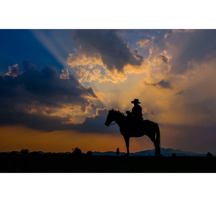 动物风格的墙面壁画骑士与坐骑 - TenStickers