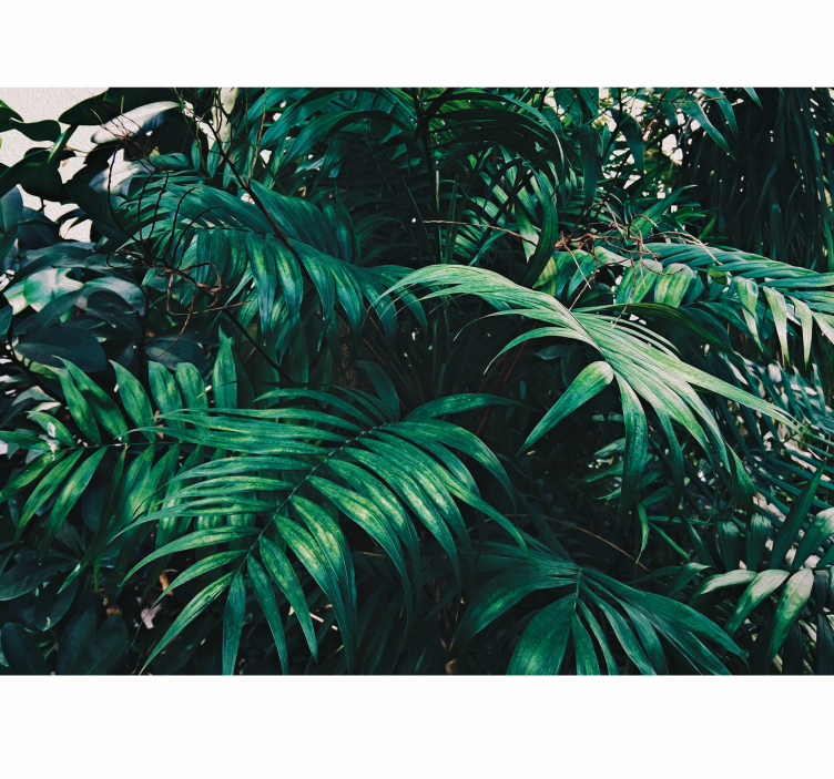 自然照片墙展现生机盎然的叶子 - TenStickers