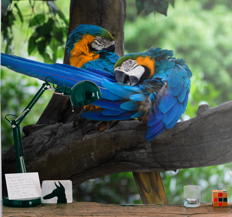 动物风格的墙面壁画色彩斑斓的金刚鹦鹉双对 - TenStickers