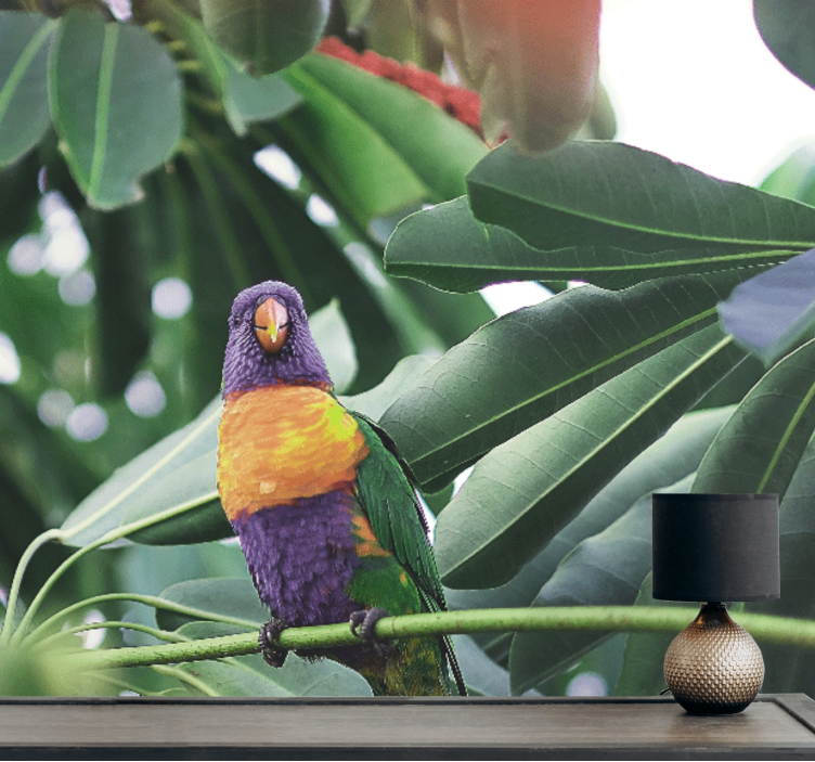 动物风格的墙面壁画色彩斑斓的鹦鹉栖息 - TenStickers