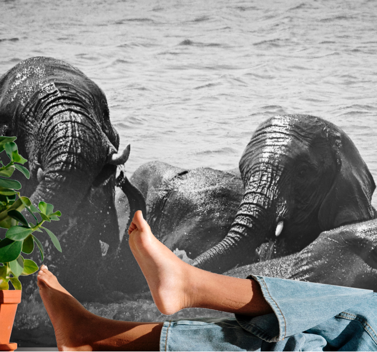 动物风格的墙面壁画液态大象 - TenStickers