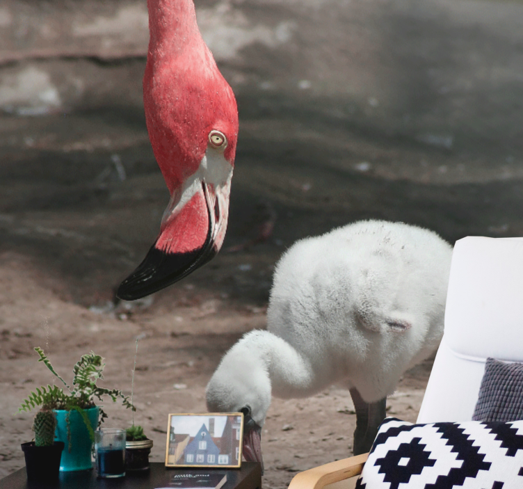 动物风格的墙面壁画小火烈鸟幼鸟 - TenStickers