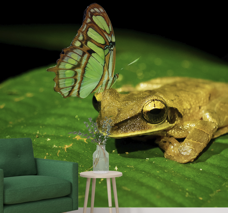 动物风格的墙面壁画 青蛙和蝴蝶 - TenStickers
